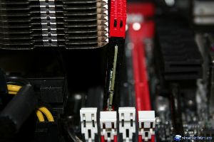 00086 NOCTUA_NH-D14_2011_XTREMEHARDWARE.COM